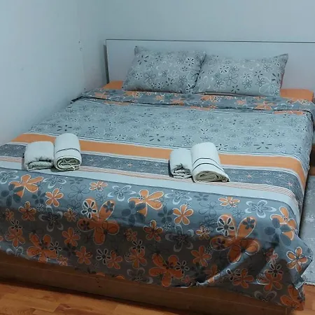 Aleksic Apartament *