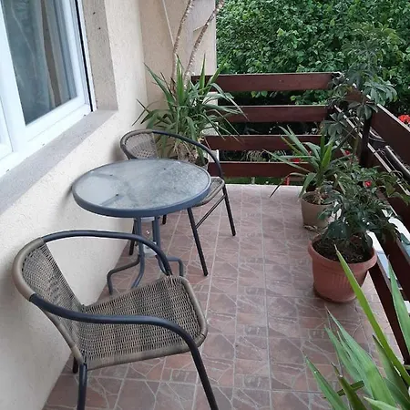 Aleksic Apartament