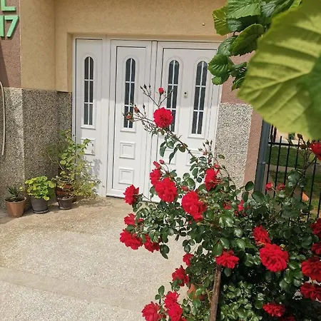 Apartament Aleksic *