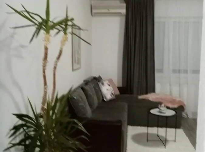 Aleksic Διαμέρισμα *