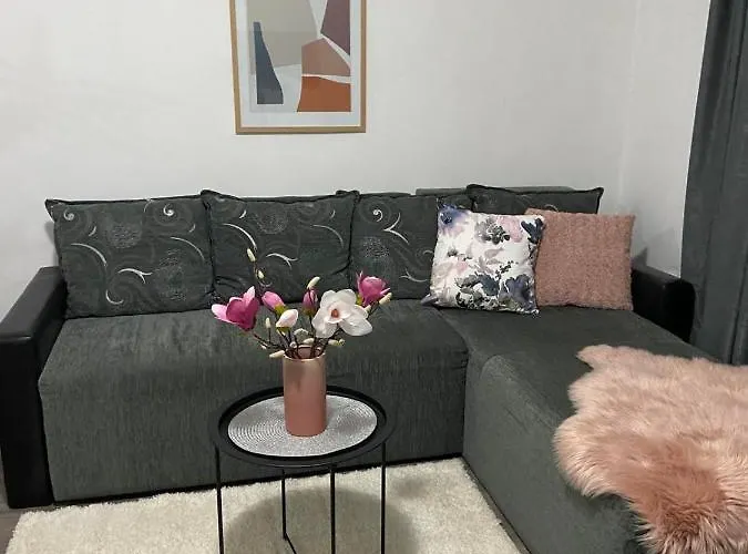 Aleksic Διαμέρισμα *