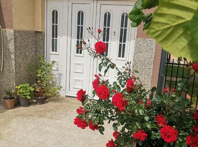 Διαμέρισμα Aleksic *